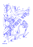 RADIATOR / HOSES for Yamaha YP125E 2002