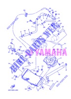 RADIATOR / HOSES for Yamaha XP500 2013
