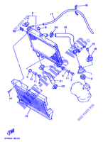 RADIATOR / HOSES for Yamaha TDR250 1990