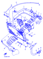 RADIATOR / HOSES for Yamaha YZF750R 1994
