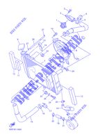 RADIATOR / HOSES for Yamaha YZF-R6 2000