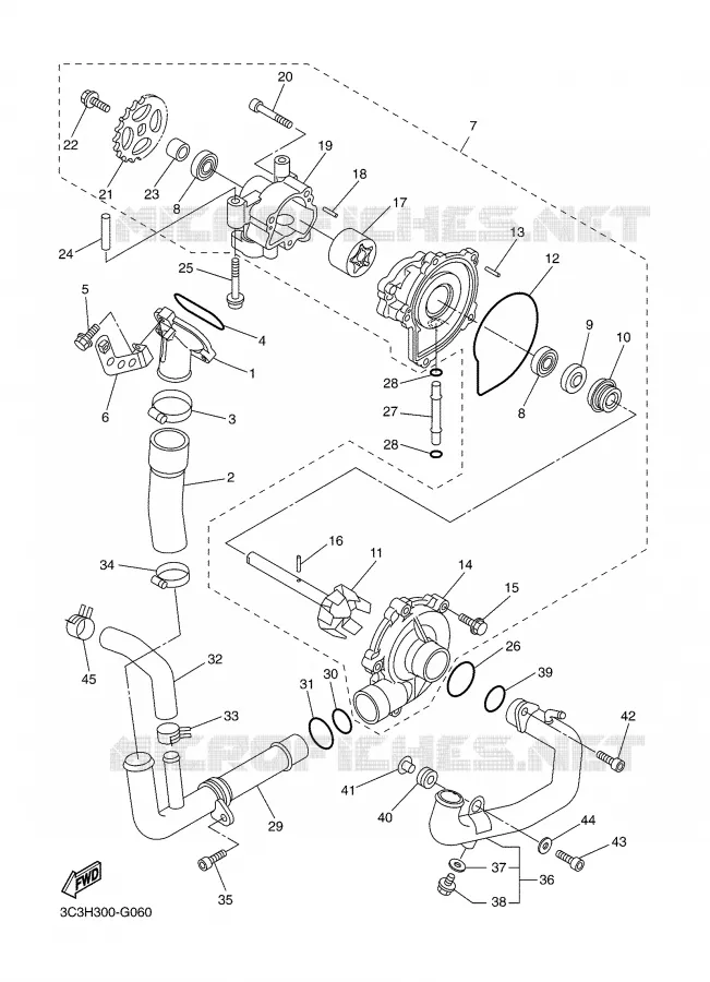 WATERPUMP / HOSES Yamaha MOTO 1000 2008 FAZER ABS  FZ1-SA