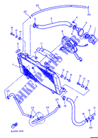 RADIATOR / HOSES for Yamaha FZR1000 1991