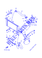RADIATOR / HOSES for Yamaha TDR125 1994