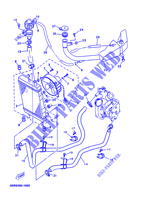 RADIATOR / HOSES for Yamaha YP125E 2002