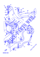 RADIATOR / HOSES for Yamaha YP150E 2002