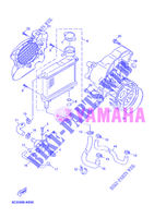 RADIATOR / HOSES for Yamaha MBK OVETTO 50 4 TEMPS 2012