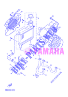 RADIATOR / HOSES for Yamaha MBK OVETTO 50 4 TEMPS 2012