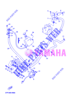 RADIATOR / HOSES for Yamaha YP250R 2012