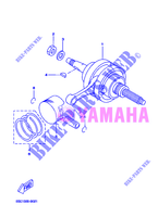 CRANKSHAFT / PISTON for Yamaha YP250RA 2012
