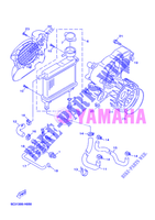RADIATOR / HOSES for Yamaha YN50FU 2012