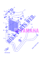 RADIATOR / HOSES for Yamaha YQ50 2012