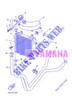 RADIATOR / HOSES for Yamaha YQ50 2012