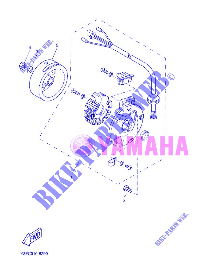 IGNITION for Yamaha CW50 2013