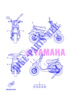 STICKER for Yamaha BOOSTER 12