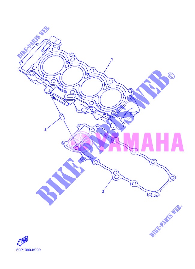 CYLINDER for Yamaha FZ8N 2013