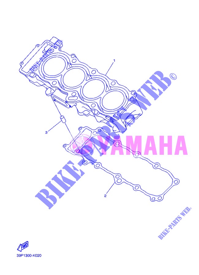 CYLINDER for Yamaha FZ8N 2013