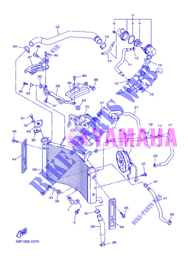 RADIATOR / HOSES for Yamaha FZ8N 2013