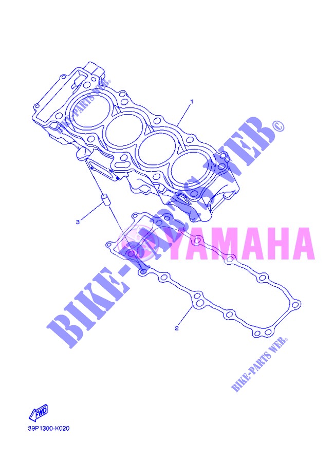CYLINDER for Yamaha FZ8NA 2013