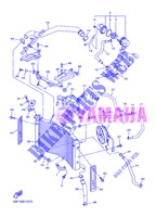 RADIATOR / HOSES for Yamaha FZ8NA 2013