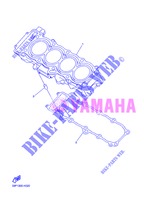 CYLINDER for Yamaha FZ8NA 2013