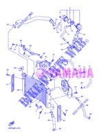 RADIATOR / HOSES for Yamaha FZ8S 2013