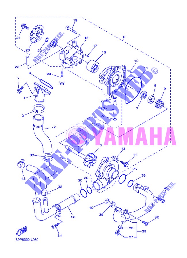 WATERPUMP / HOSES for Yamaha FZ8S 2013