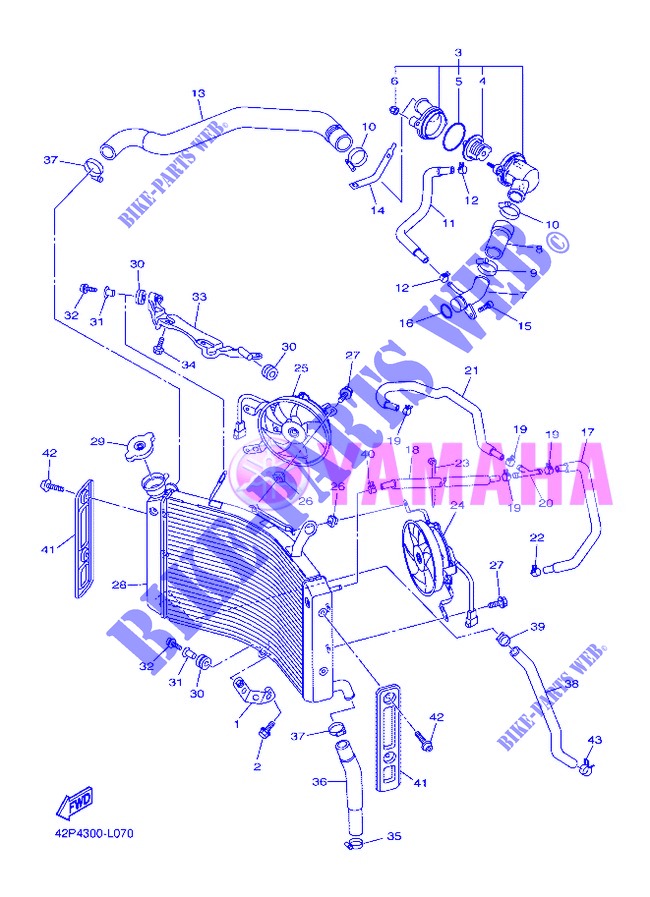 RADIATOR / HOSES for Yamaha FZ8S 2013