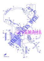 RADIATOR / HOSES for Yamaha FZ8SA 2013