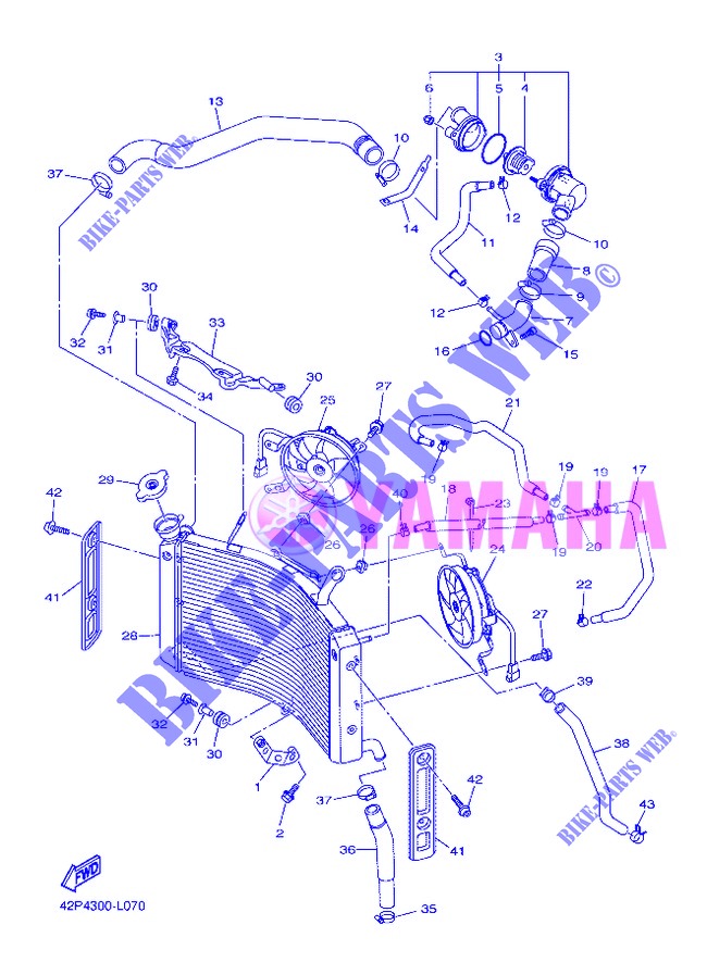 RADIATOR / HOSES for Yamaha FZ8SA 2013