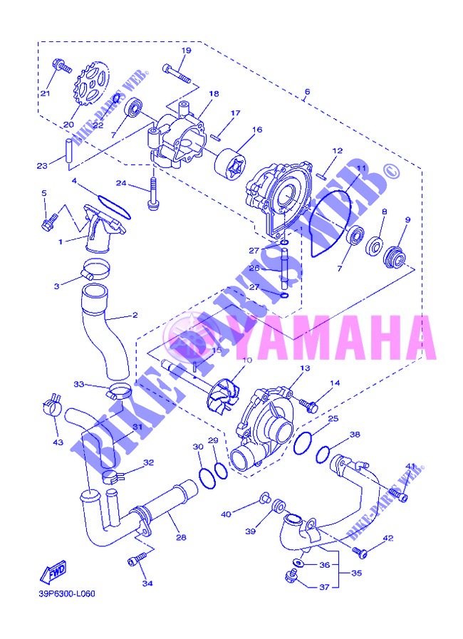 WATERPUMP / HOSES for Yamaha FZ8SA 2013