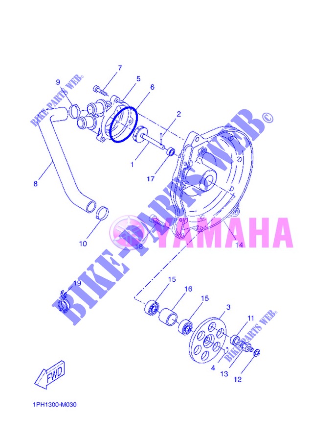 WATERPUMP / HOSES for Yamaha NS50 2013