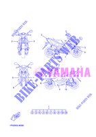 STICKER for Yamaha NS50 2013