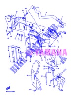 RADIATOR / HOSES for Yamaha WR250R 2013