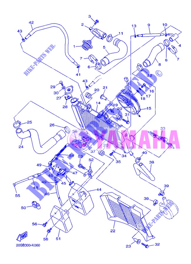 RADIATOR / HOSES for Yamaha XJ6N 2013