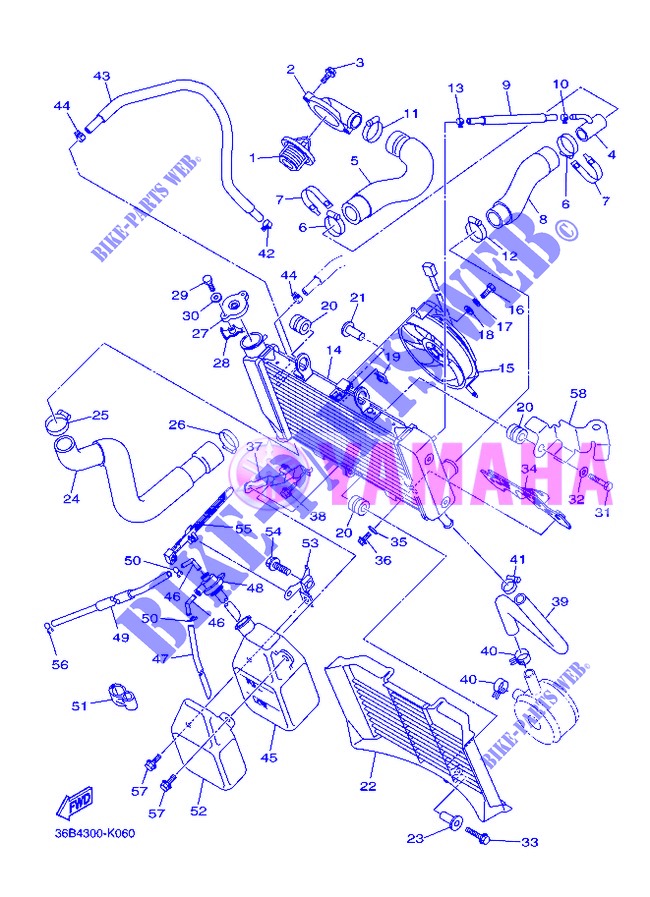RADIATOR / HOSES for Yamaha XJ6NA 2013