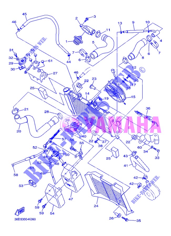 RADIATOR / HOSES for Yamaha DIVERSION 600 ABS 2013