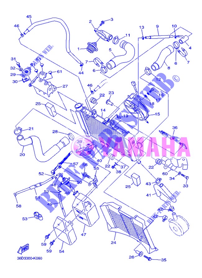 RADIATOR / HOSES for Yamaha DIVERSION 600 ABS 2013