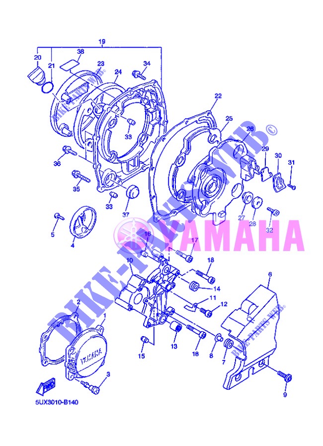 COVER   ENGINE 1 for Yamaha XJR1300 2013