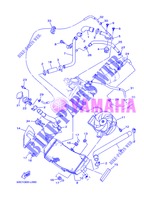 RADIATOR / HOSES for Yamaha XP500A 2013