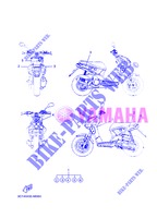 STICKER for Yamaha EW50N 2013