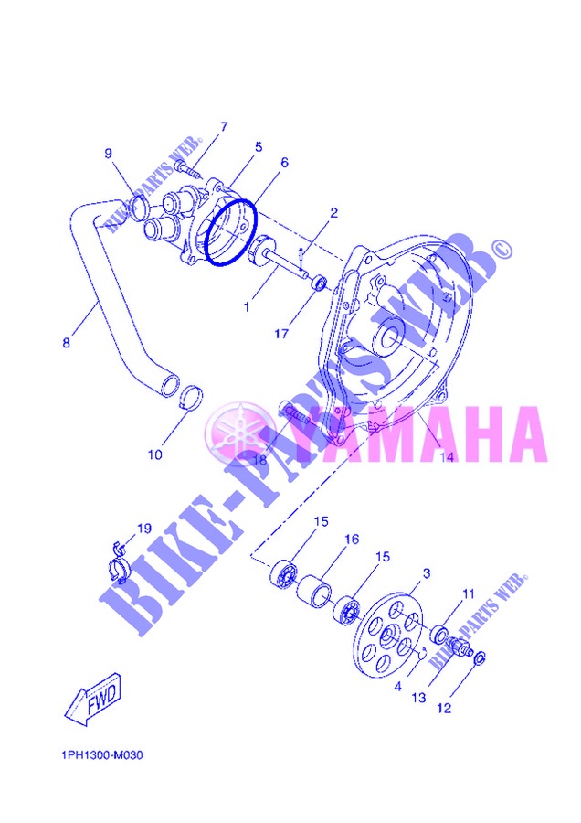 WATERPUMP / HOSES for Yamaha NS50N 2013