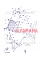 RADIATOR / HOSES for Yamaha NS50N 2013