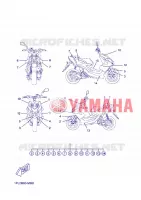 STICKER for Yamaha NS50N 2013
