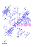 RADIATOR / HOSES for Yamaha YN50F 2013