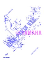 RADIATOR / HOSES for Yamaha YP250RA 2013