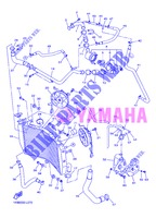 RADIATOR / HOSES for Yamaha YZF-R1 2013