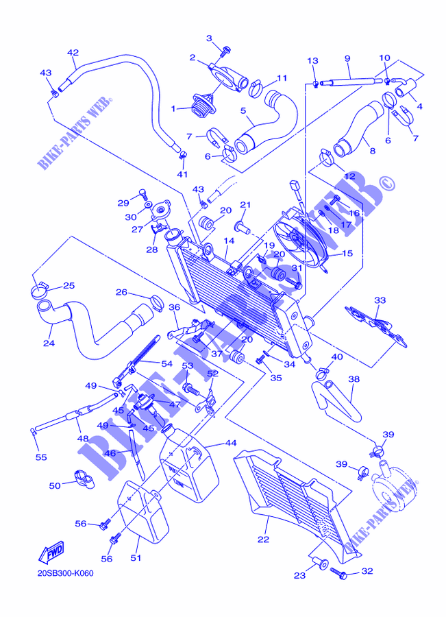 RADIATOR / HOSES for Yamaha XJ6N 2014