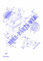 RADIATOR / HOSES for Yamaha YN50F 2014