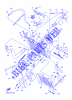 RADIATOR / HOSES for Yamaha XJ6NA 2014